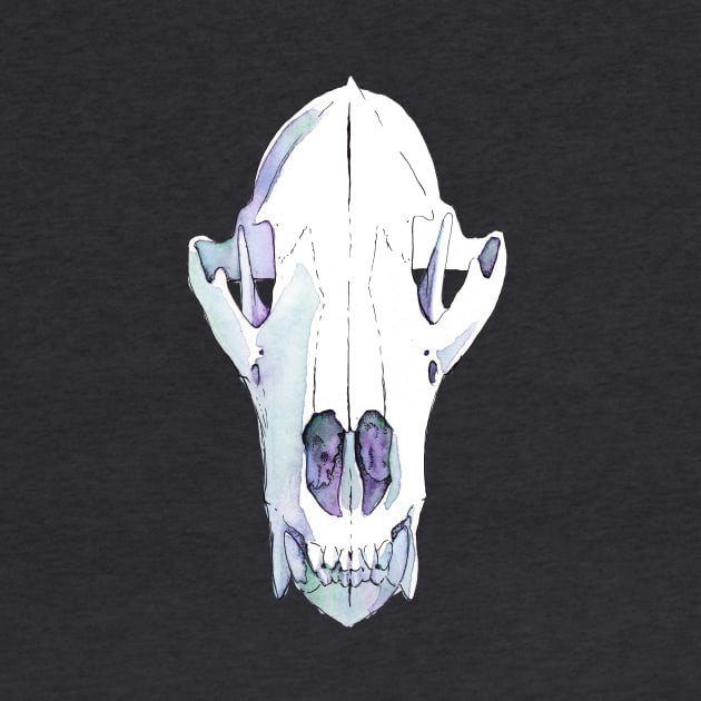 bear skull by terastar